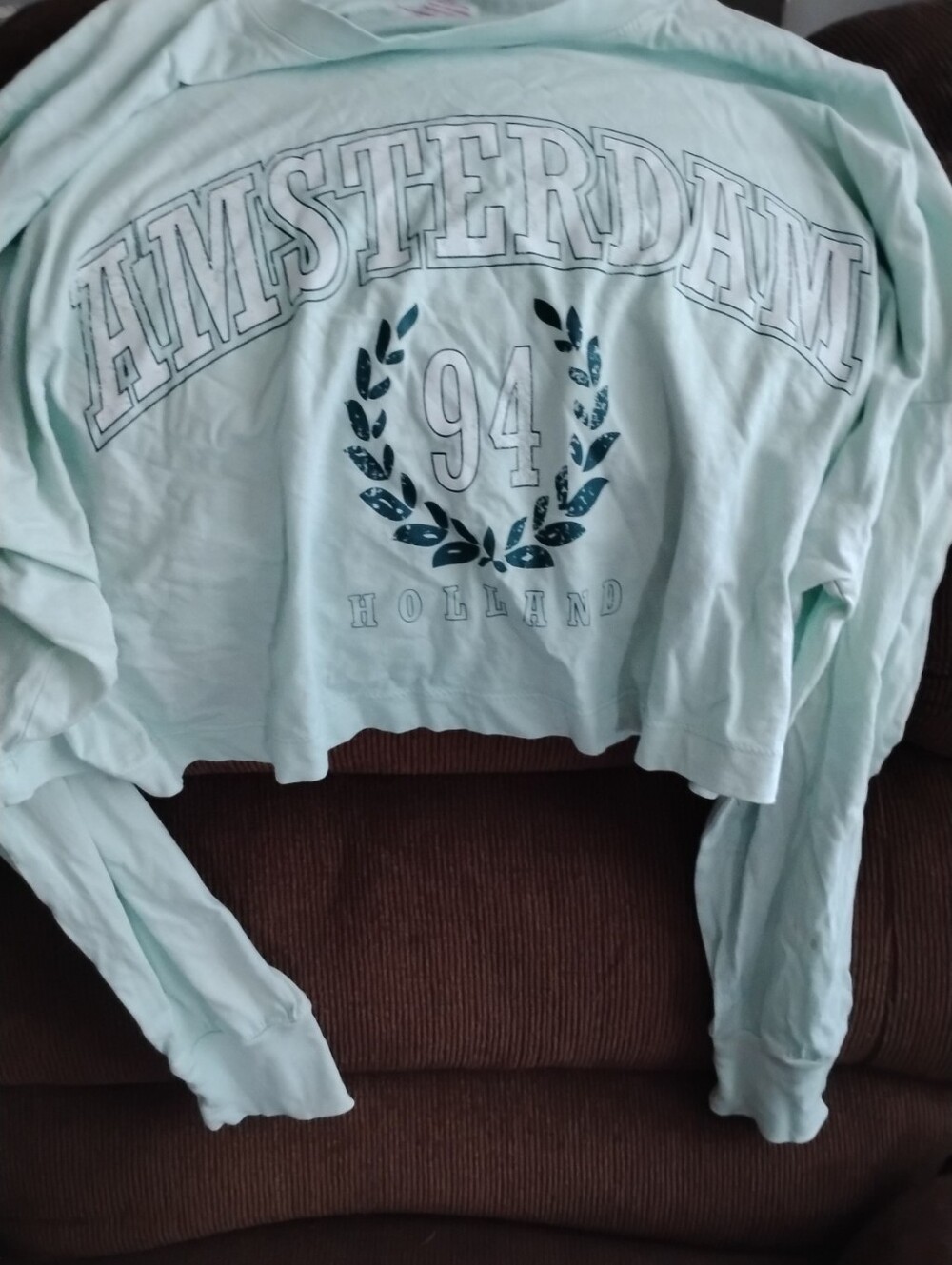 No Boundaries Light Aqua Long-Sleeve Crop Top